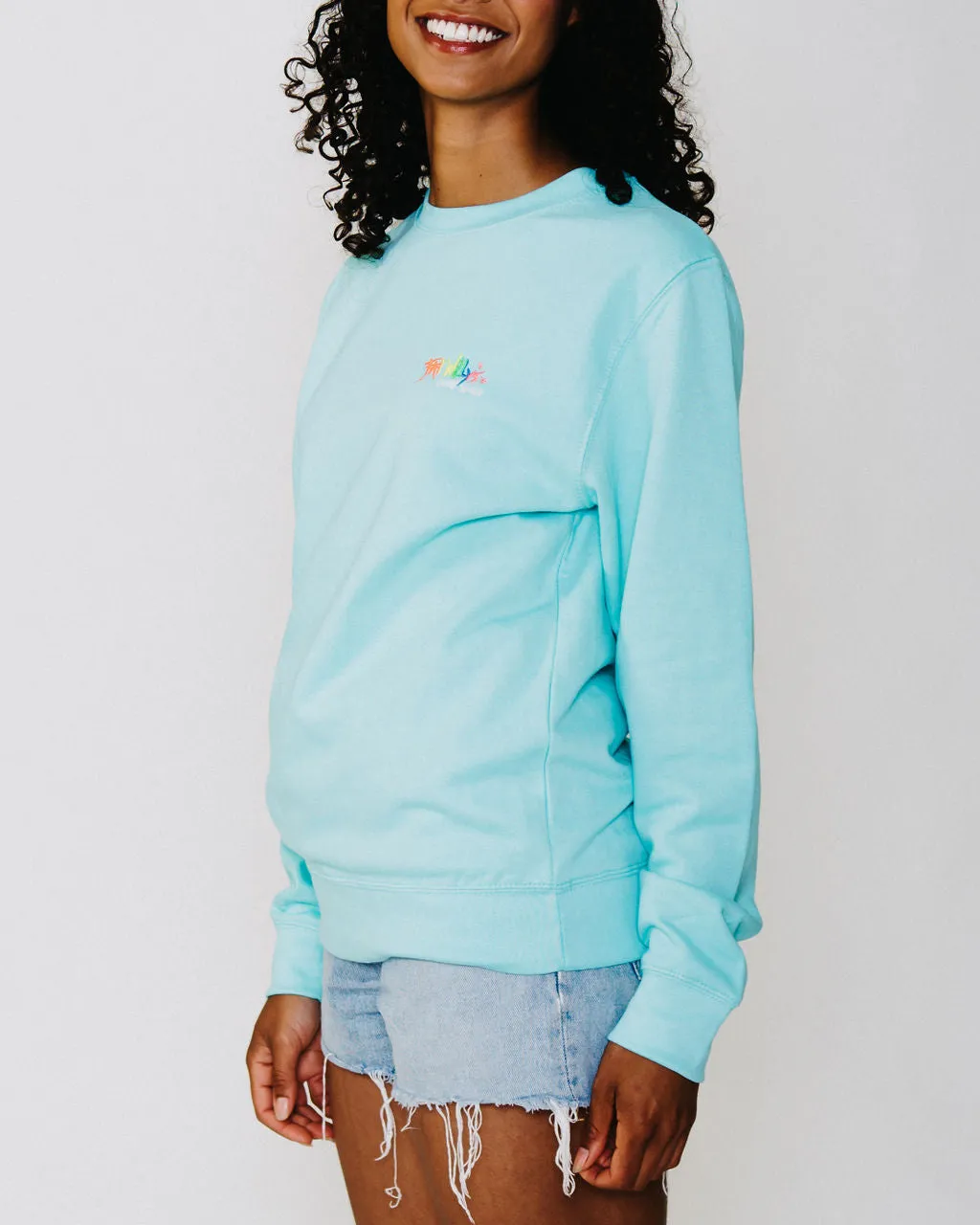 Adult Crew Sweatshirt in Peppermint