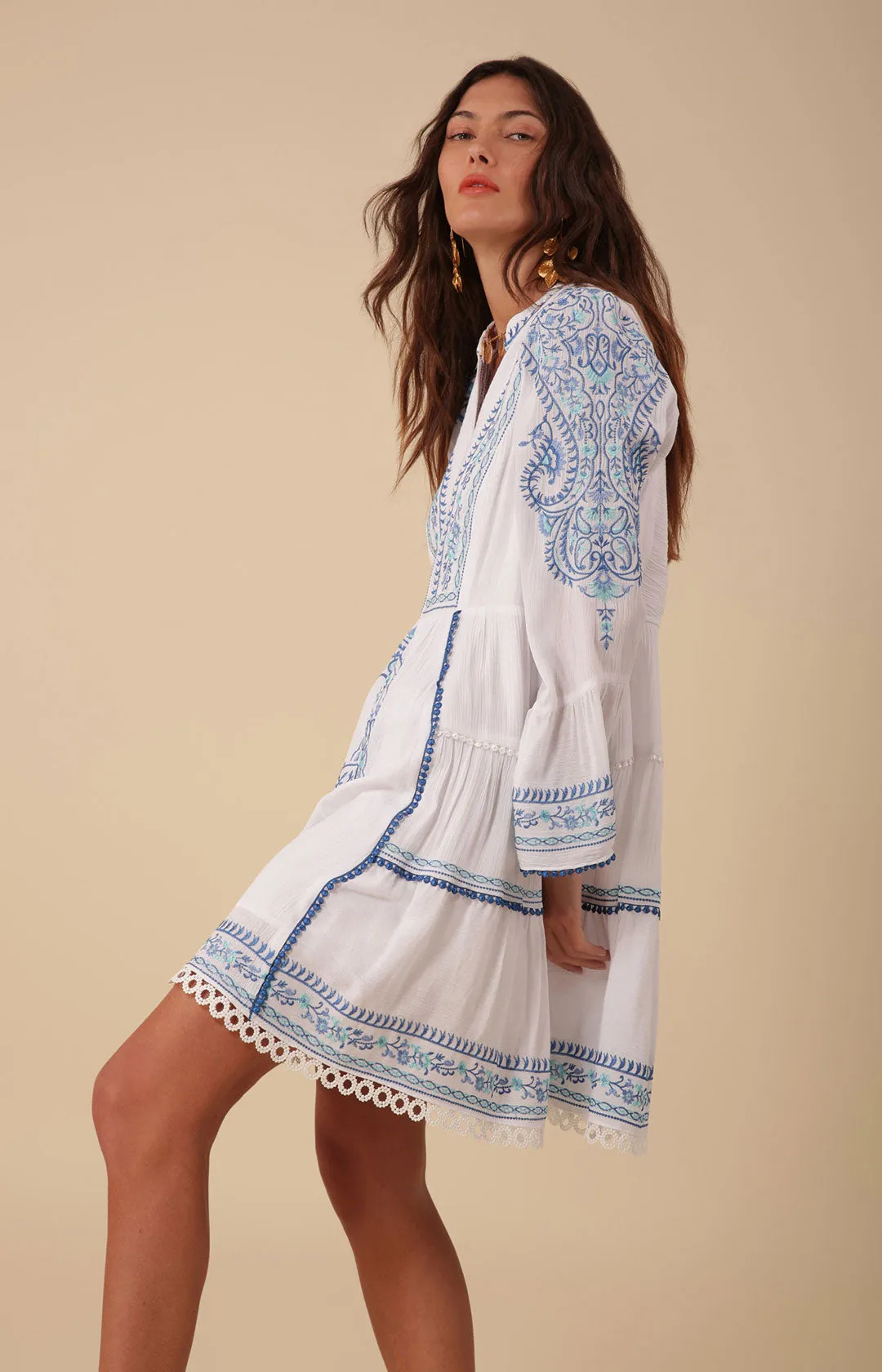 Isabel Embroidered Dress