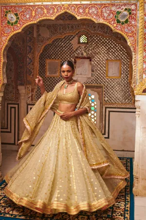 Lehja Lehenga Set