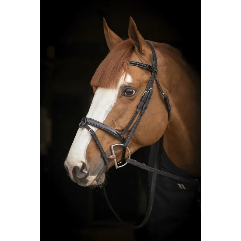 Penelope - Oxford Bridle