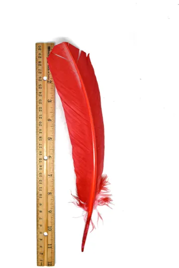 Red Feather Pieces 11.50" x 2.50" - 1 Piece