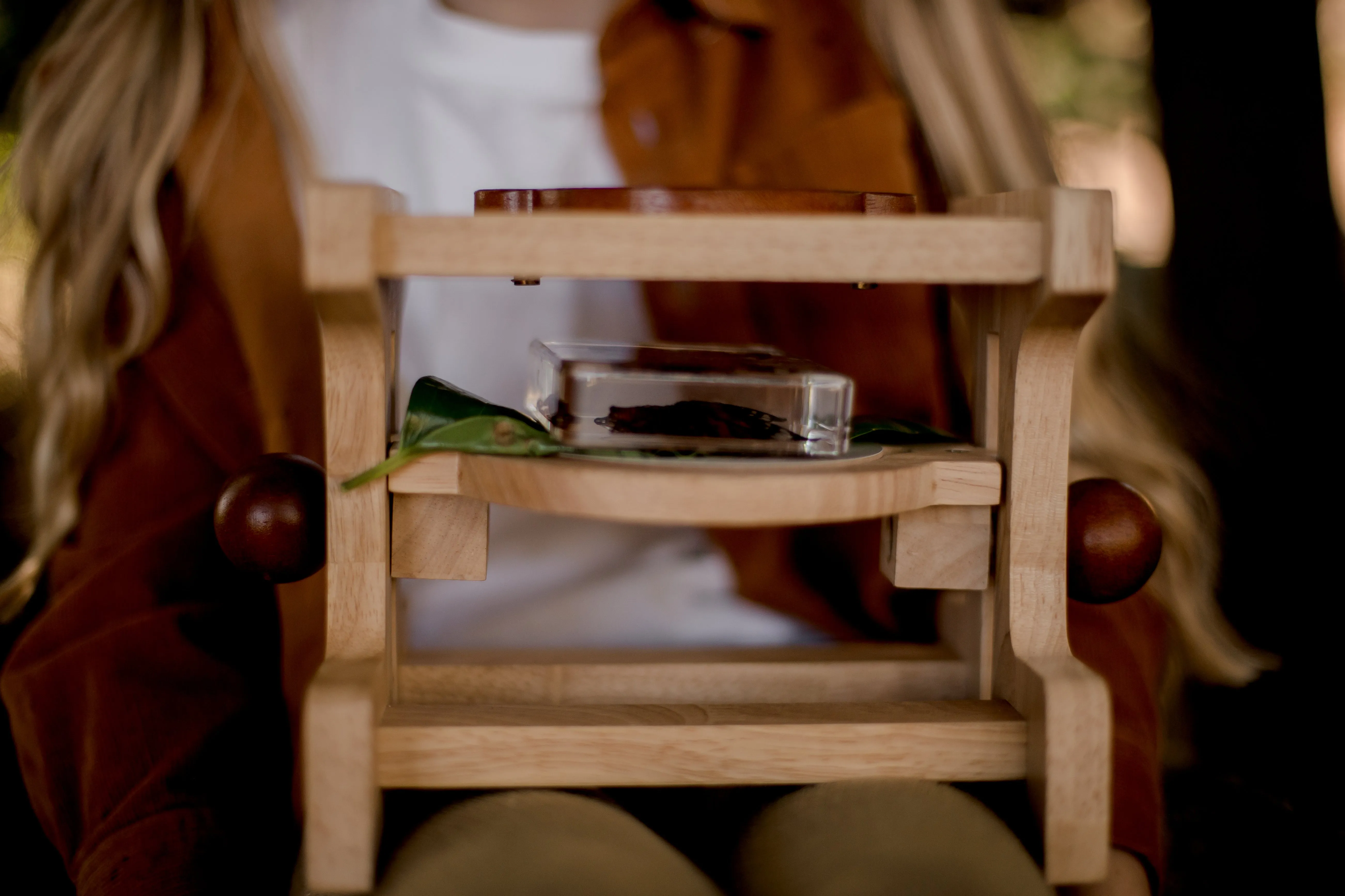 Wooden Microscope