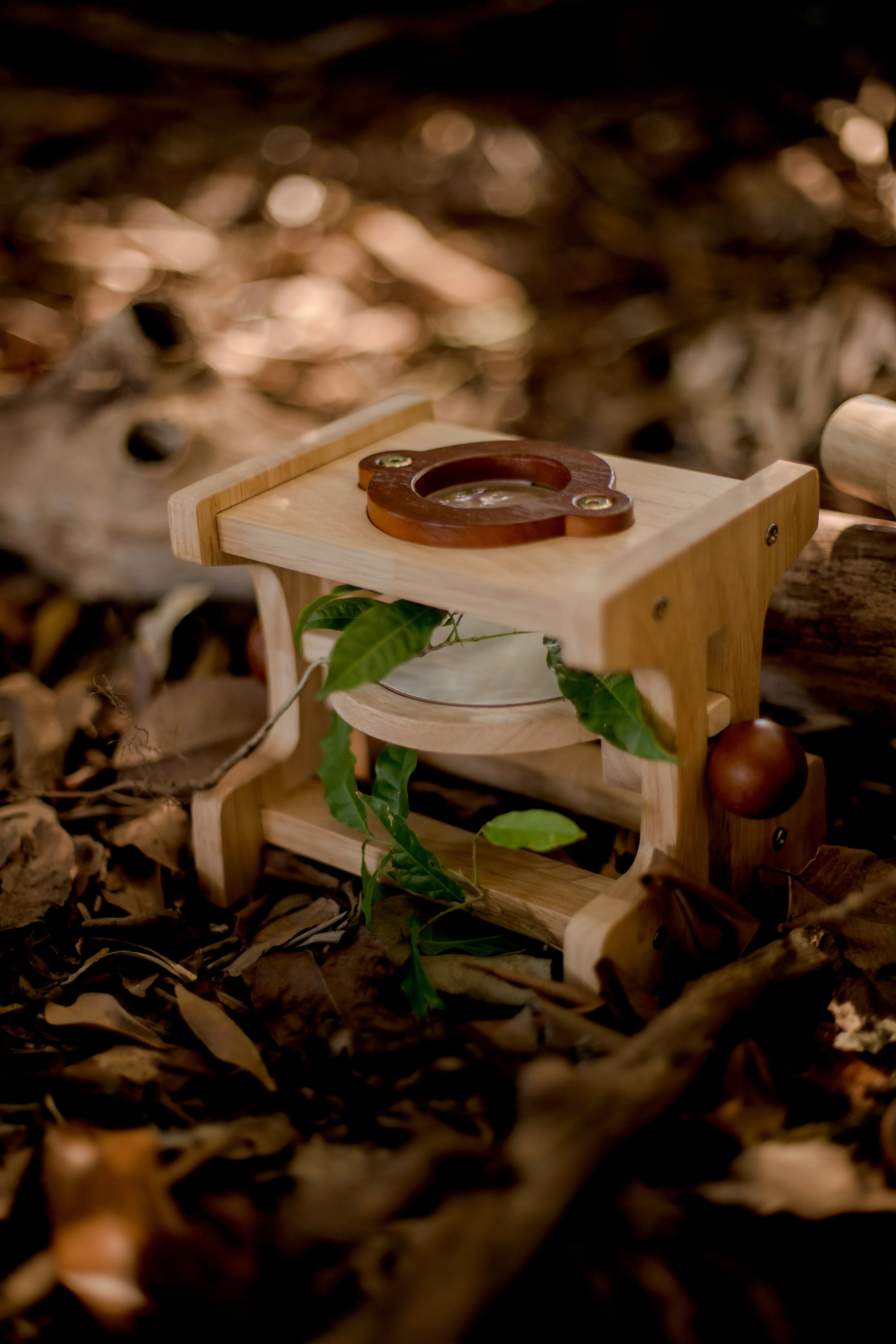 Wooden Microscope